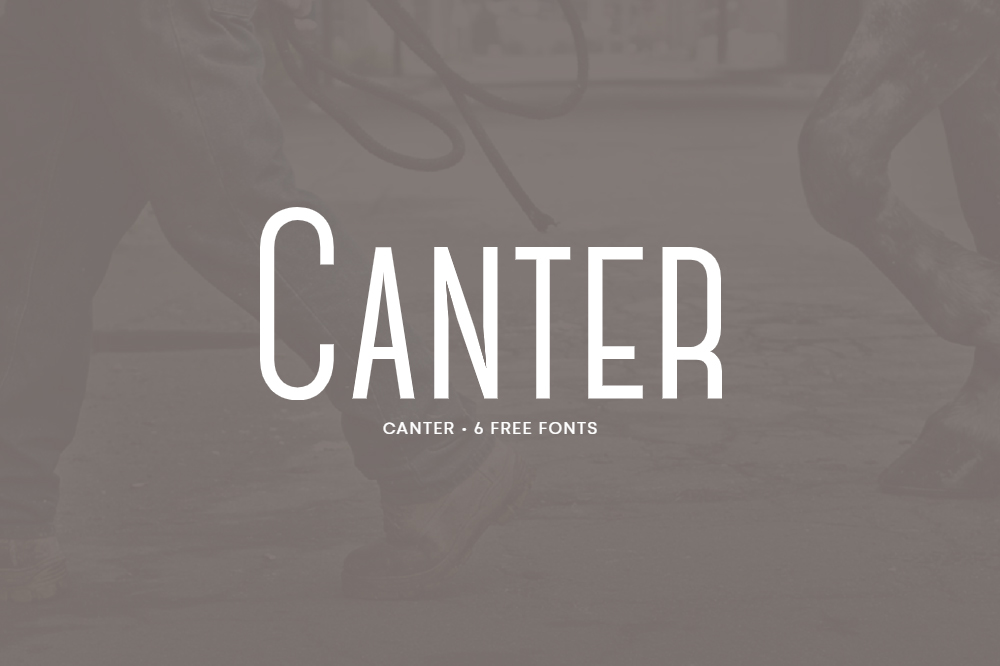 Canter